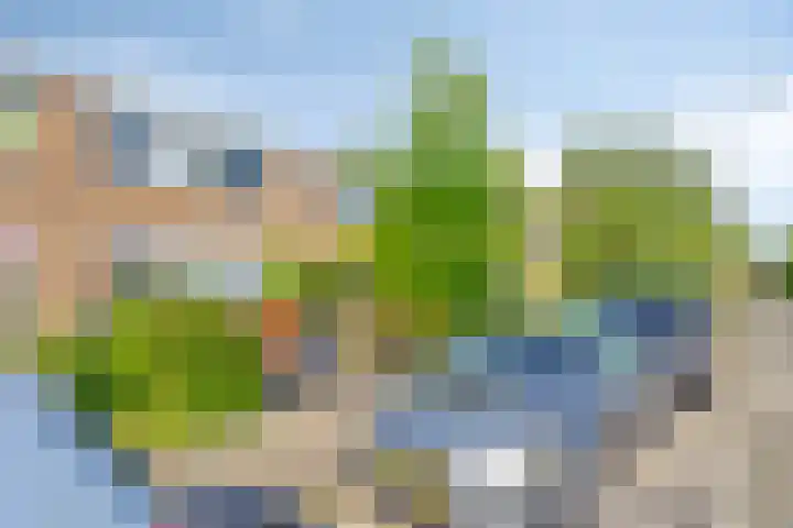 Wilgenlei 84 Rotterdam thumbnail 7