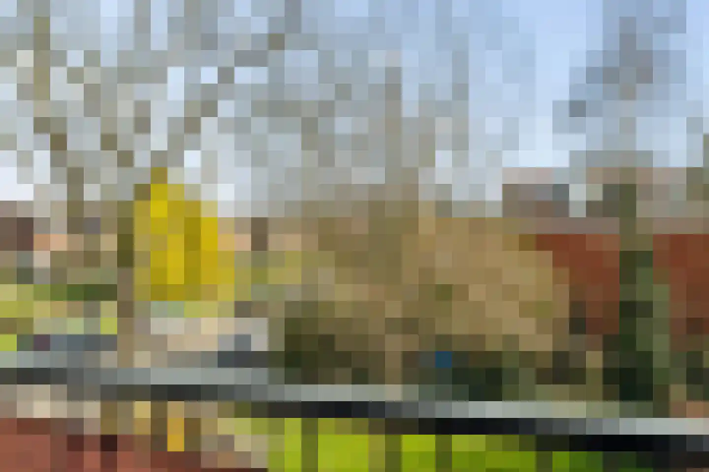 Wilgenlei 96 B Rotterdam thumbnail 31