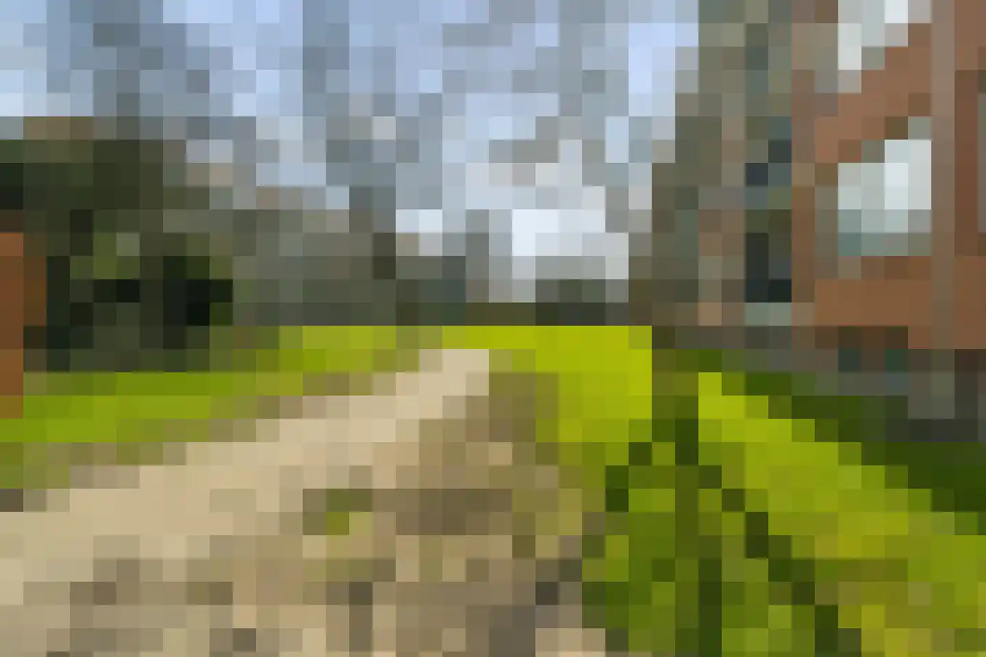 Wilgenlei 96 B Rotterdam thumbnail 35
