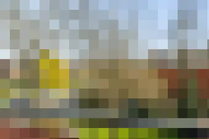 Wilgenlei 96 C Rotterdam thumbnail 31