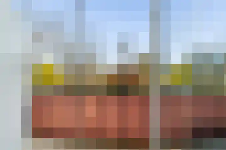 Wilgenlei 96 C Rotterdam thumbnail 32