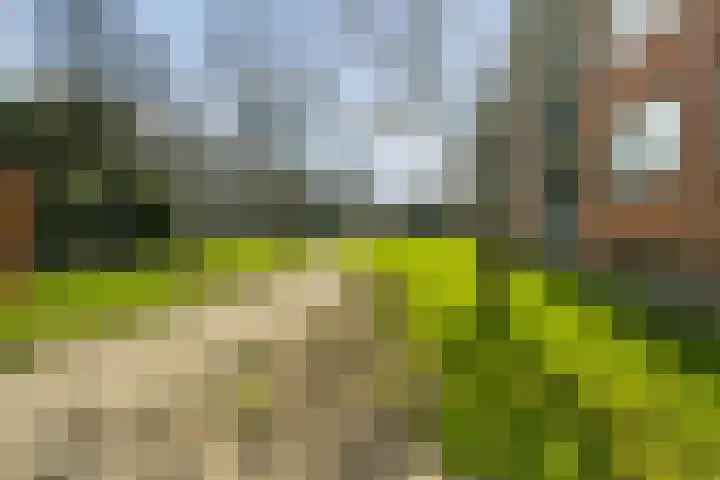 Wilgenlei 96 C Rotterdam thumbnail 35