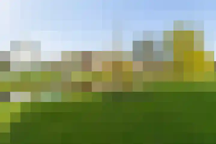 Wilgenlei 96 C Rotterdam thumbnail 36