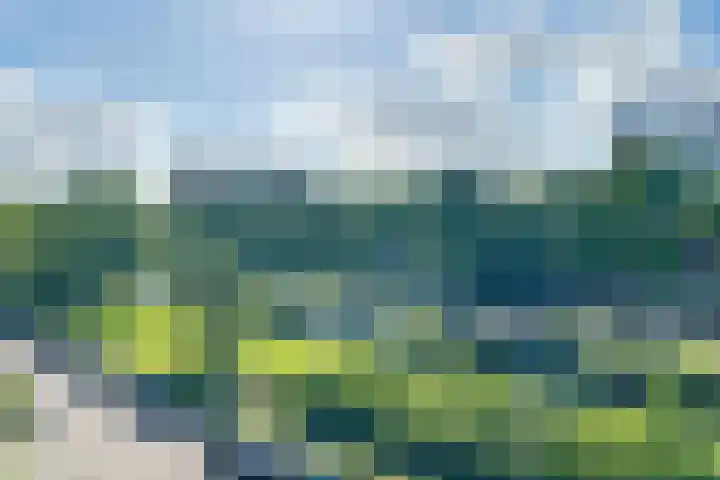 Wilgenlei 98 C Rotterdam thumbnail 22