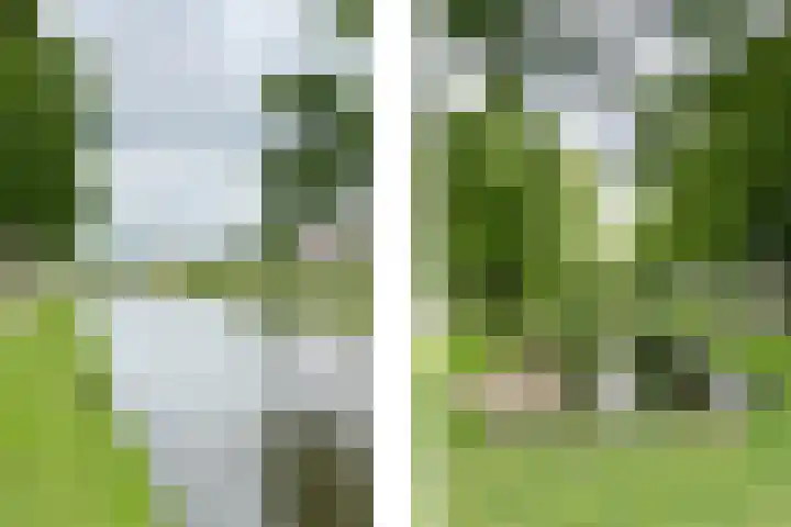 Wilgenlei 98 C Rotterdam thumbnail 25