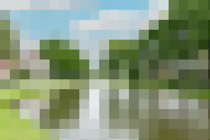 Wilgenlei 98 C Rotterdam thumbnail 26
