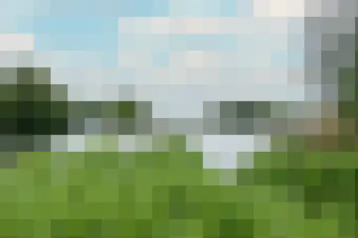 Wilgenlei 98 C Rotterdam thumbnail 28
