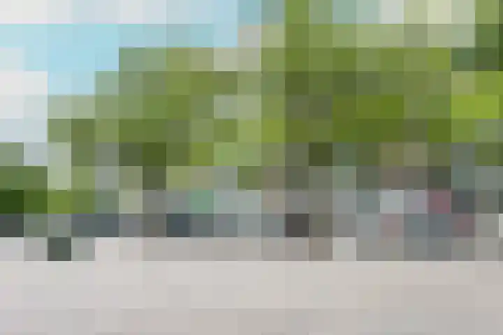 Wilgenlei 98 C Rotterdam thumbnail 30