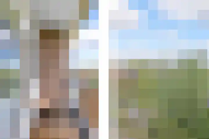 Wilgenlei 98 C Rotterdam thumbnail 5