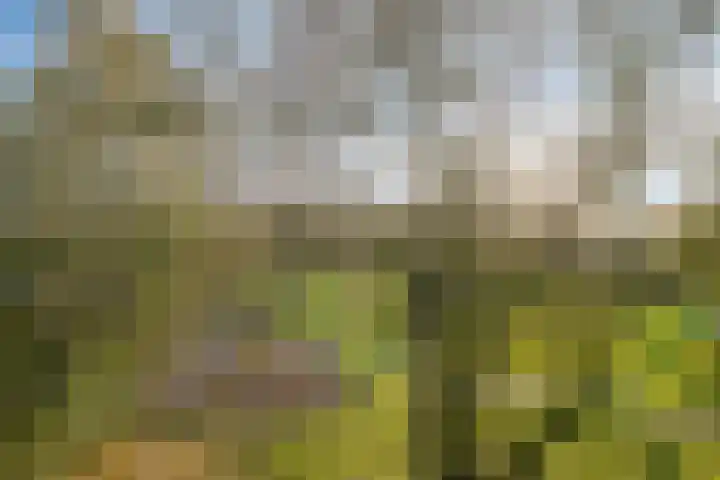 Wilgenoord 109 Bodegraven thumbnail 10