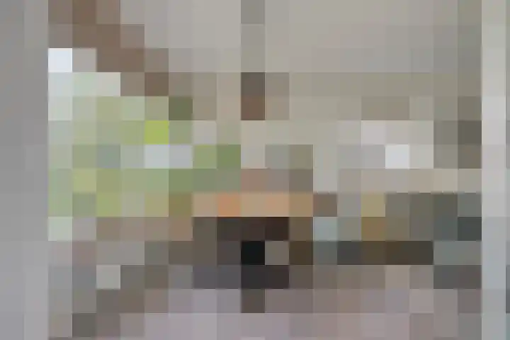Wilgenoord 109 Bodegraven thumbnail 11