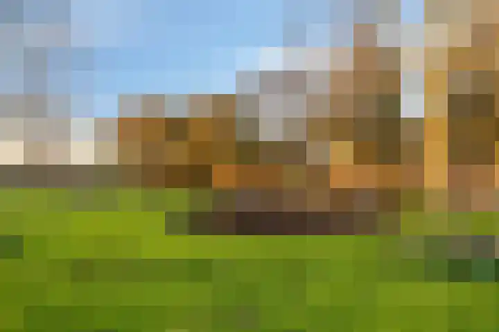 Wilgenoord 109 Bodegraven thumbnail 28