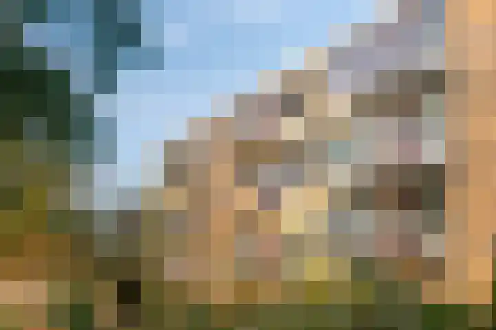 Wilgenoord 109 Bodegraven thumbnail 29