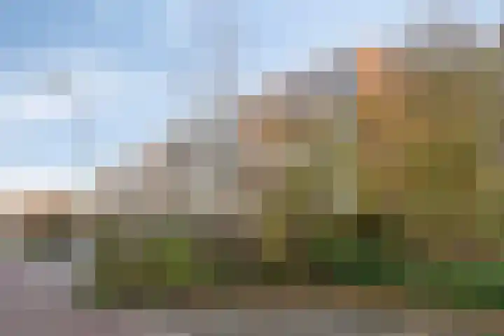 Wilgenoord 109 Bodegraven thumbnail 30