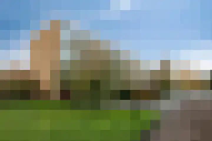 Wilgenoord 109 Bodegraven thumbnail 31