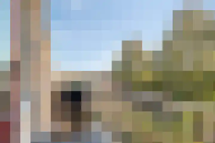 Wilgenoord 109 Bodegraven thumbnail 9