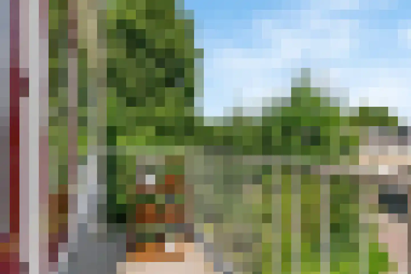 Wilgenoord 111 Bodegraven thumbnail 16