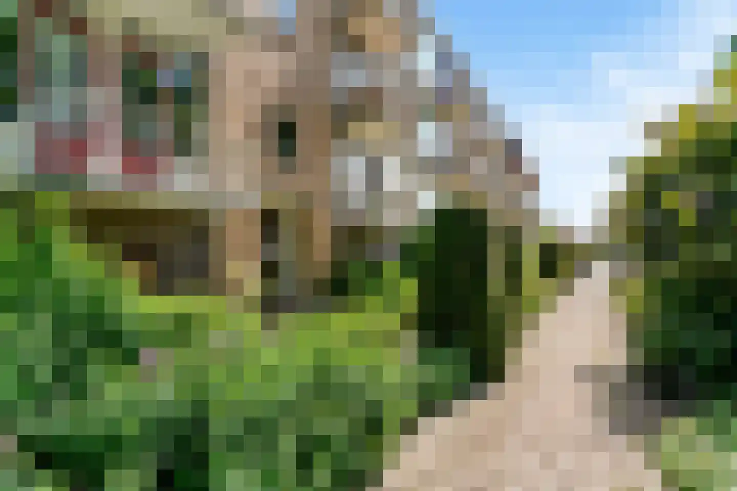Wilgenoord 111 Bodegraven thumbnail 20