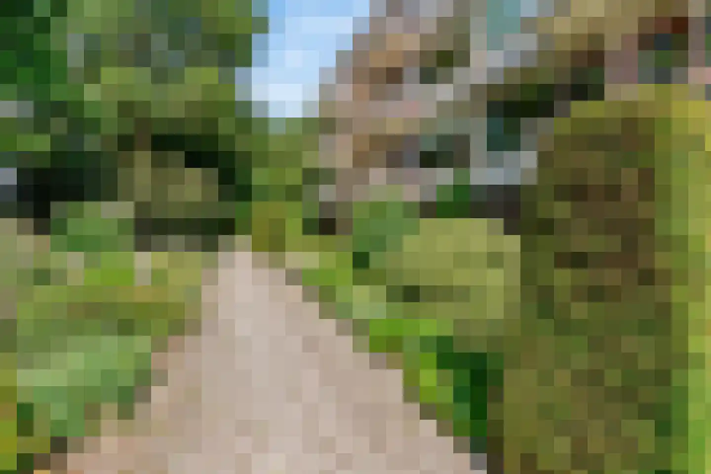 Wilgenoord 111 Bodegraven thumbnail 21