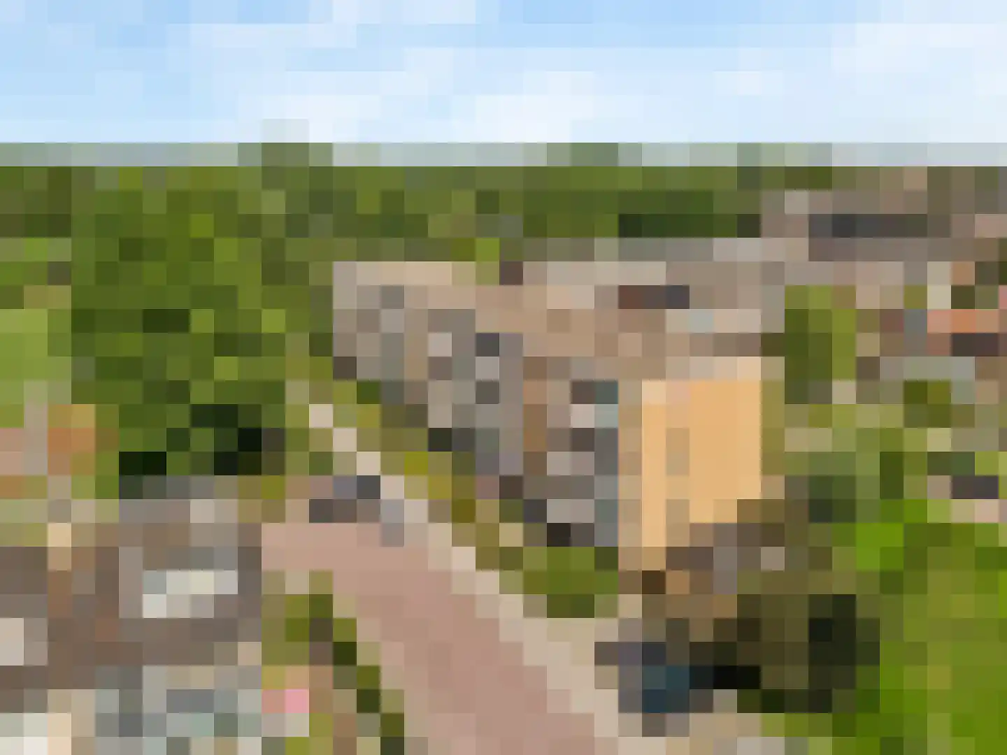 Wilgenoord 111 Bodegraven thumbnail 22