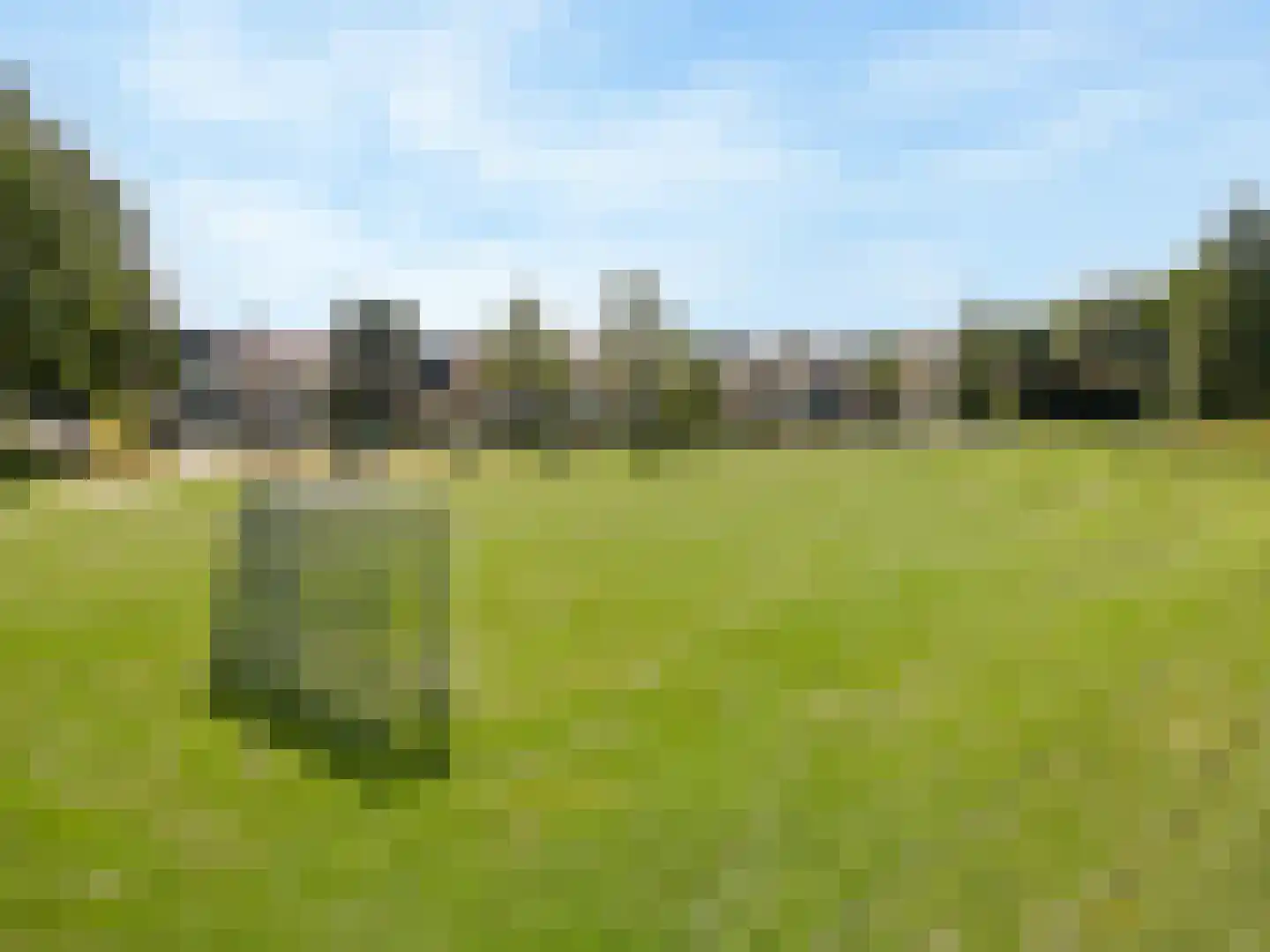 Wilgenoord 111 Bodegraven thumbnail 23