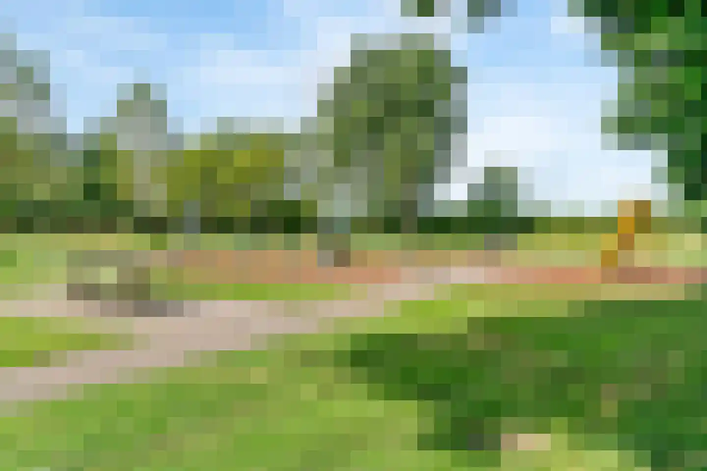 Wilgenoord 111 Bodegraven thumbnail 24