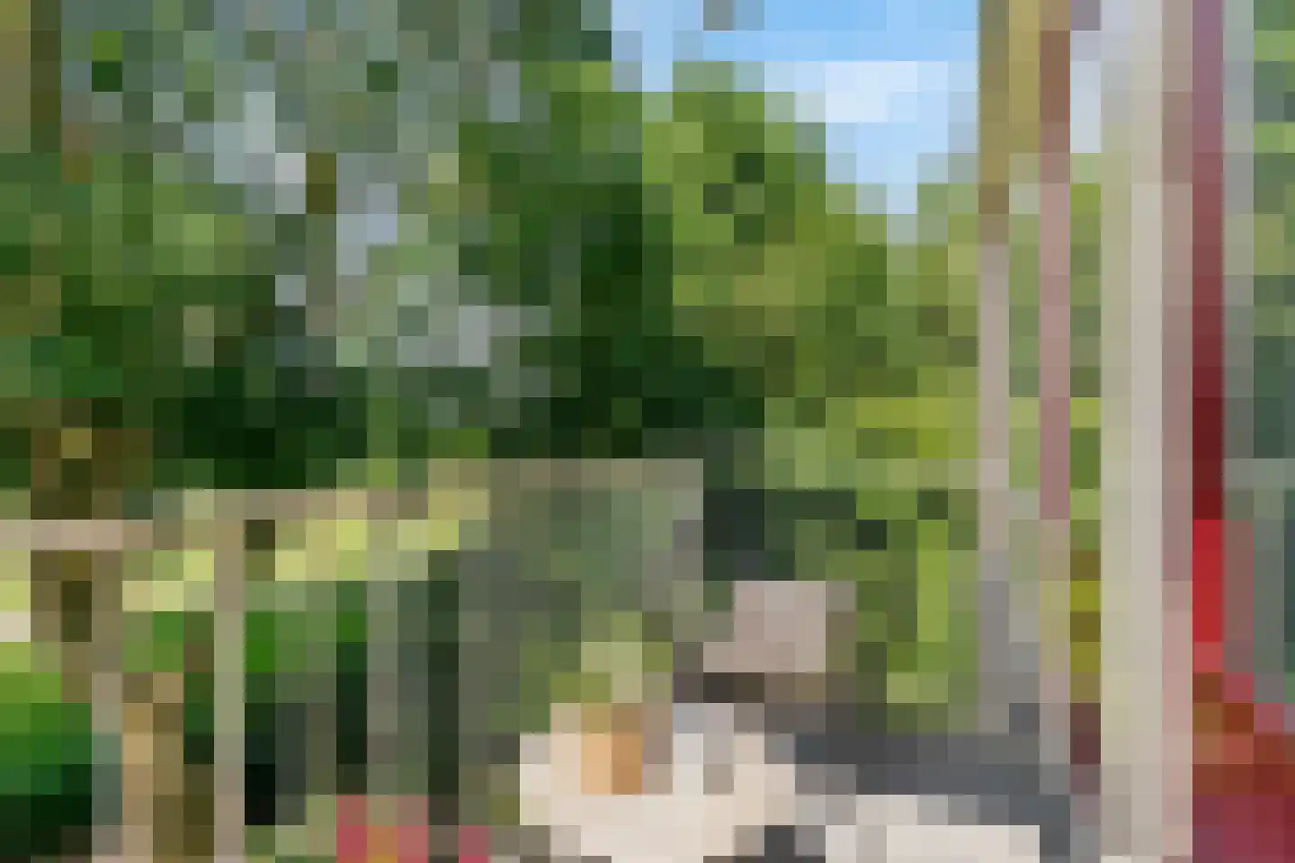Wilgenoord 111 Bodegraven thumbnail 5