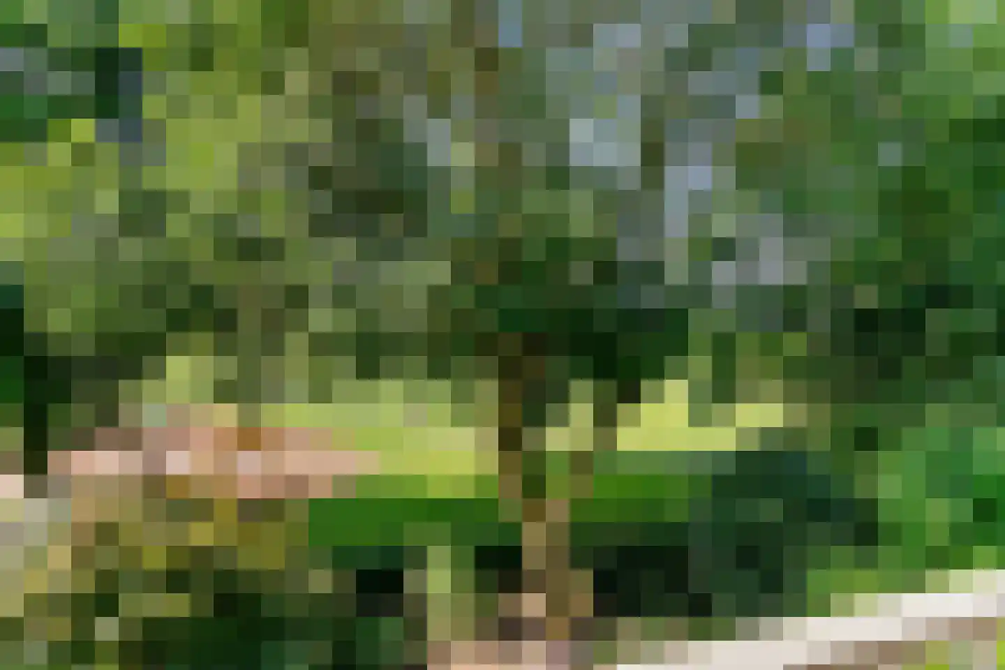 Wilgenoord 111 Bodegraven thumbnail 6