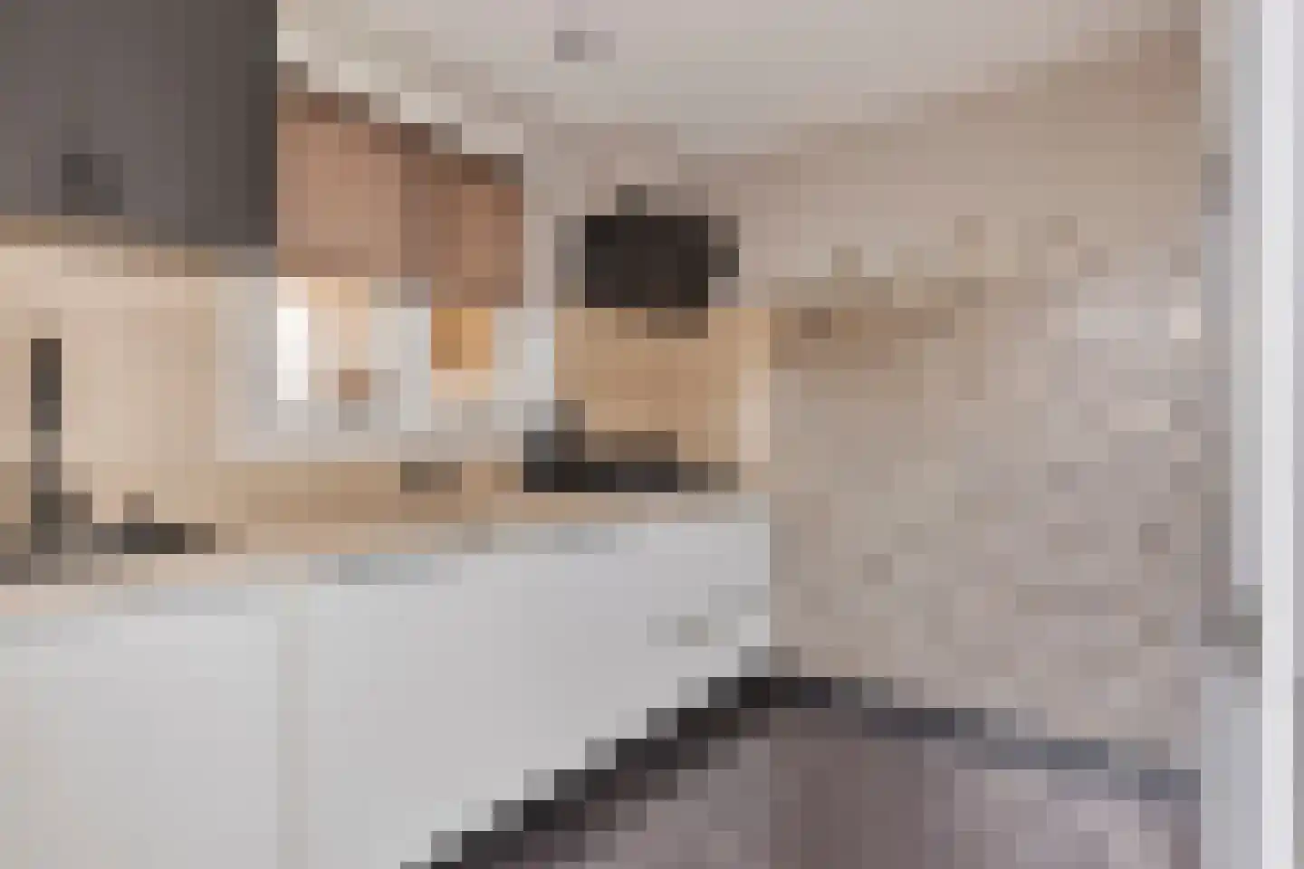 Wilgenoord 4 Bodegraven thumbnail 16