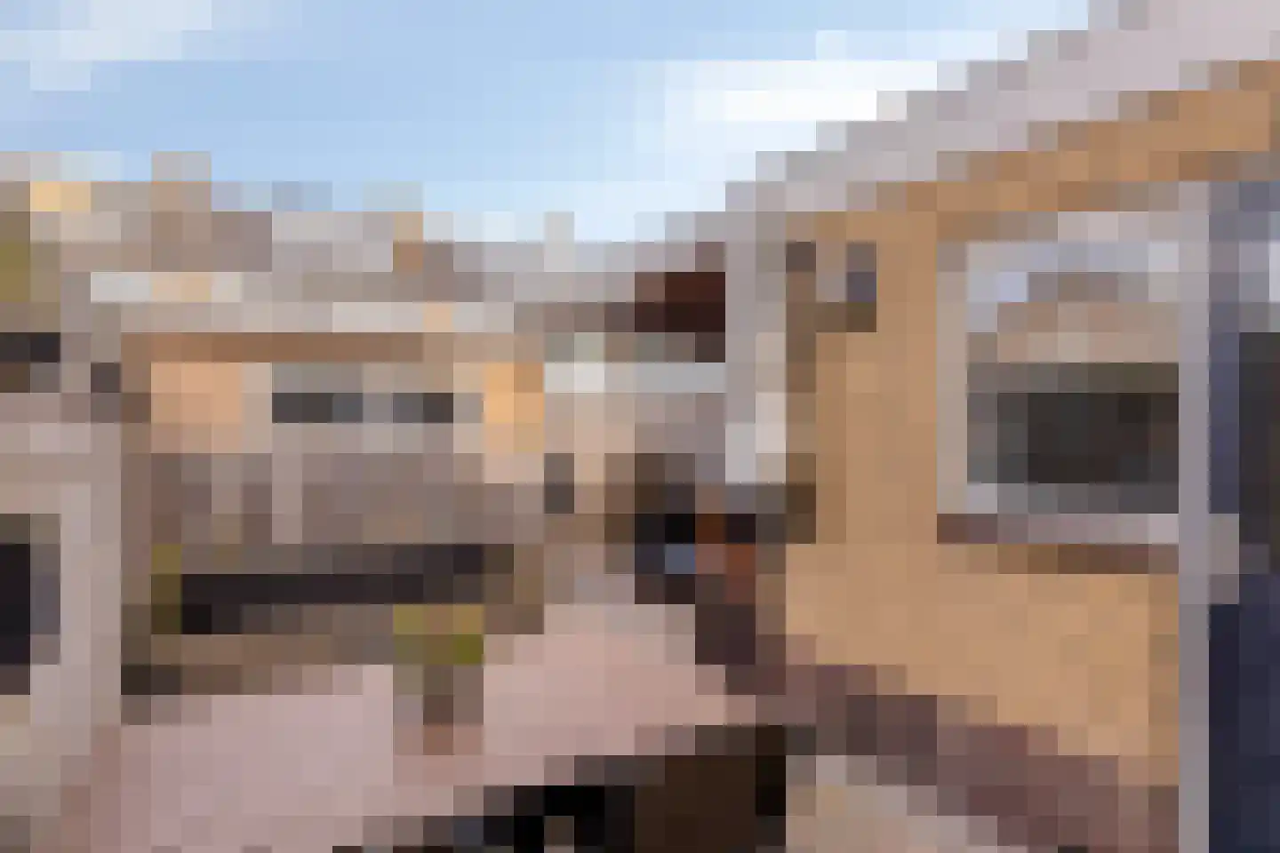 Wilgenoord 4 Bodegraven thumbnail 19
