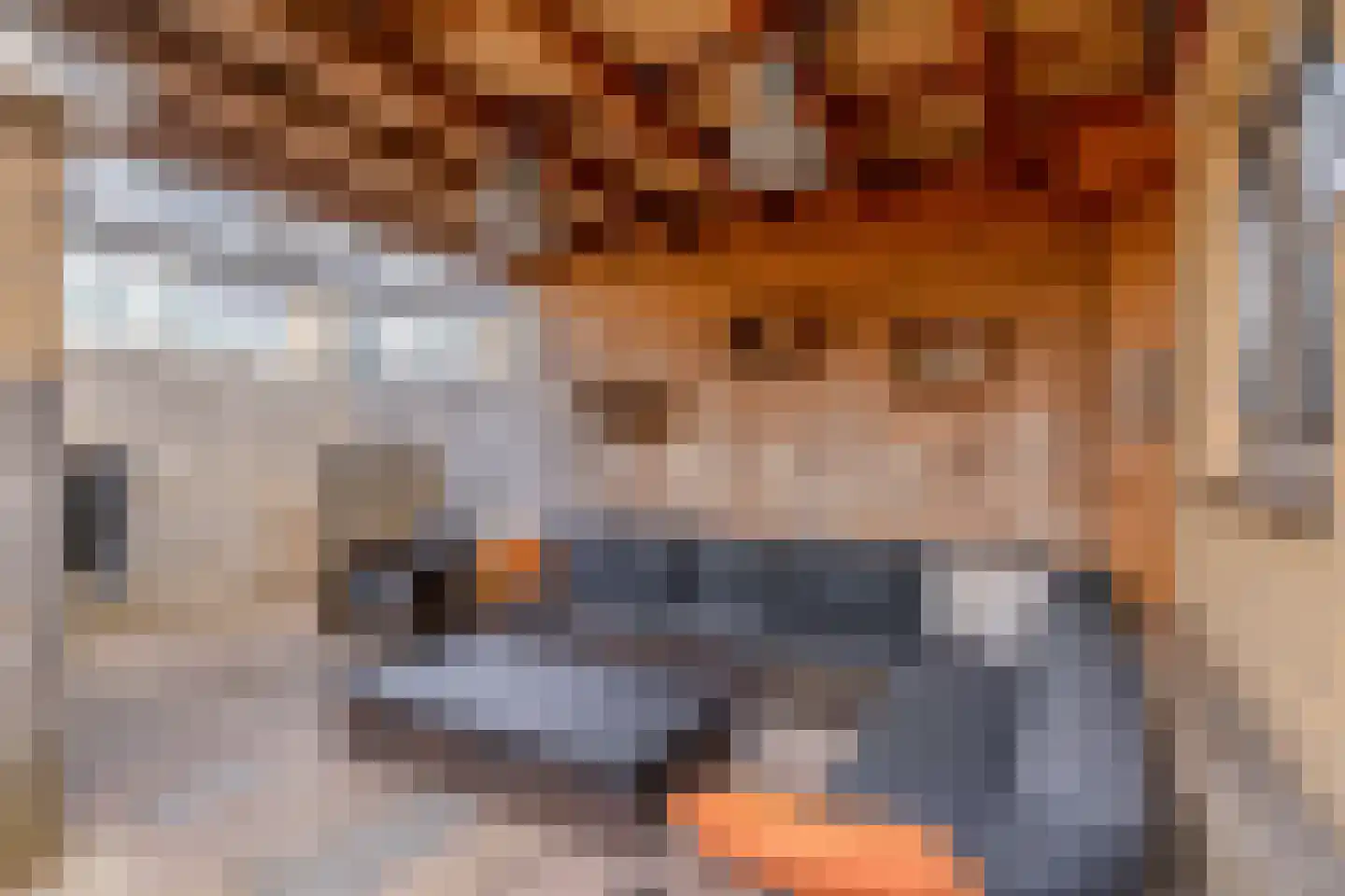 Wilgenoord 4 Bodegraven thumbnail 22
