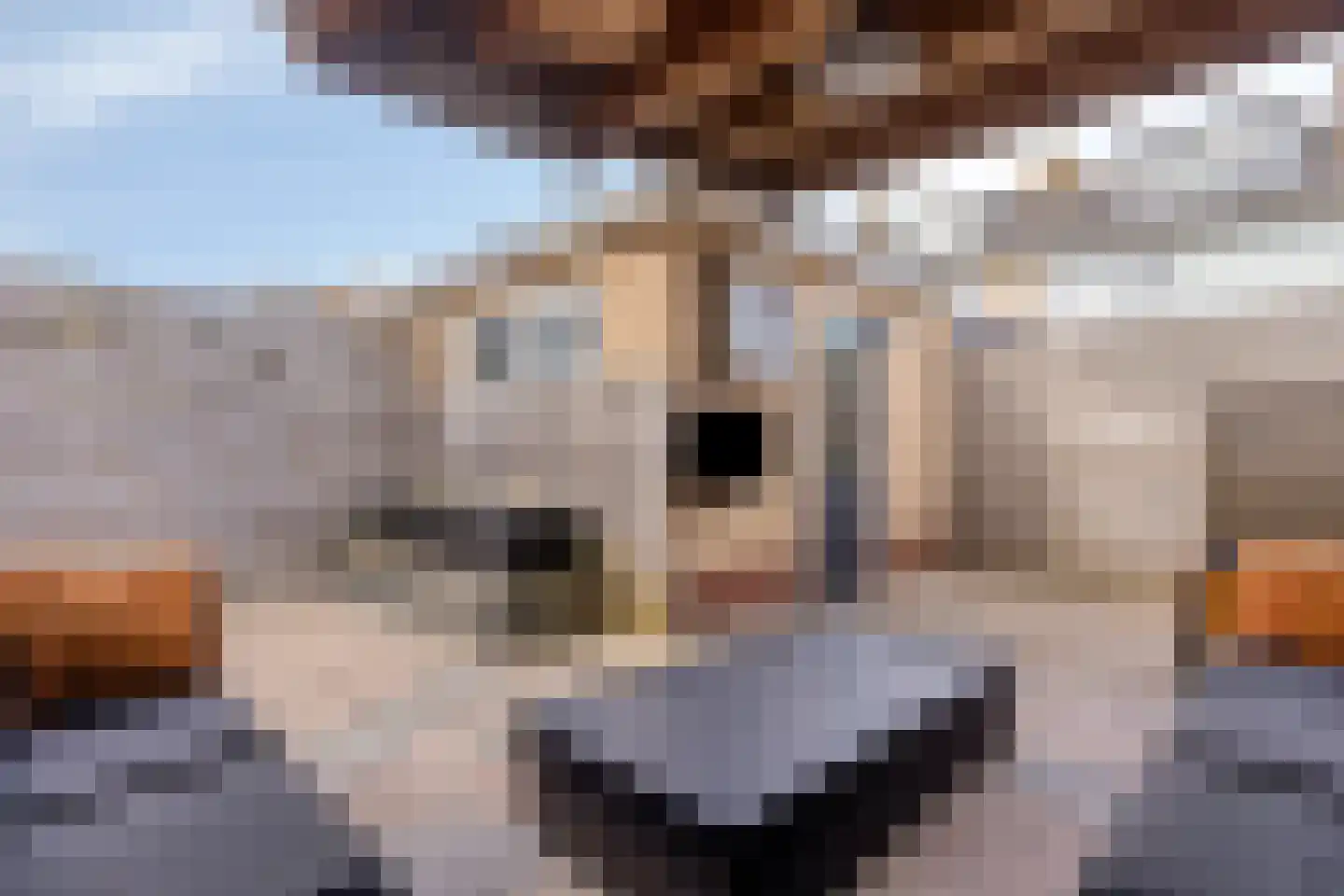 Wilgenoord 4 Bodegraven thumbnail 23