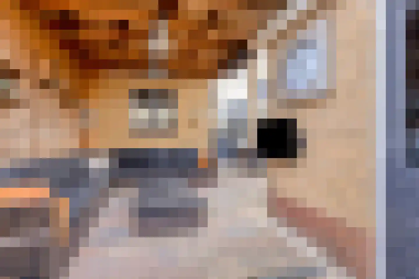 Wilgenoord 4 Bodegraven thumbnail 24