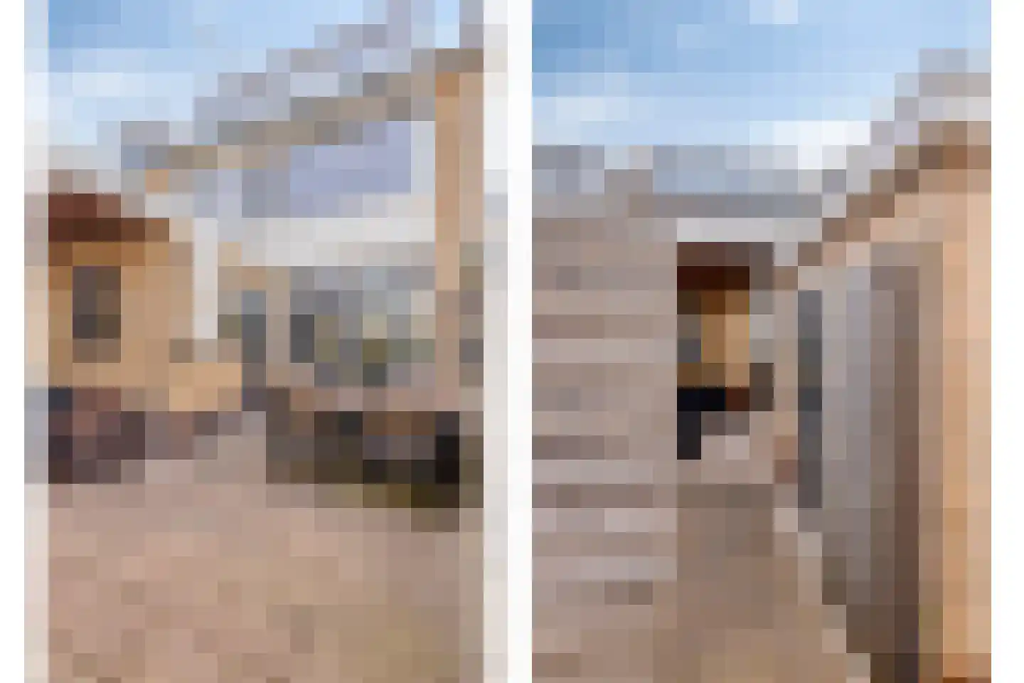 Wilgenoord 4 Bodegraven thumbnail 25