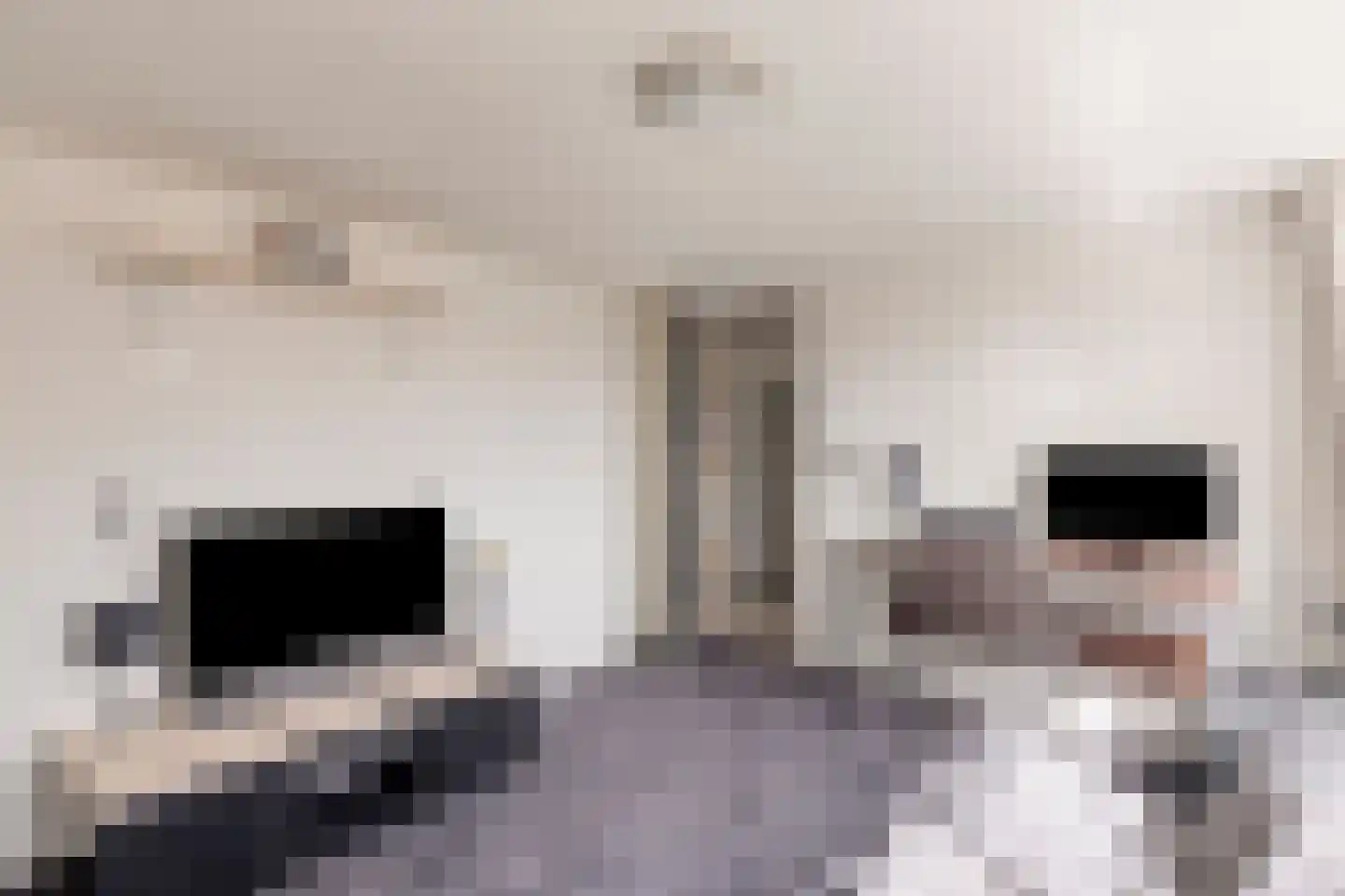 Wilgenoord 4 Bodegraven thumbnail 39