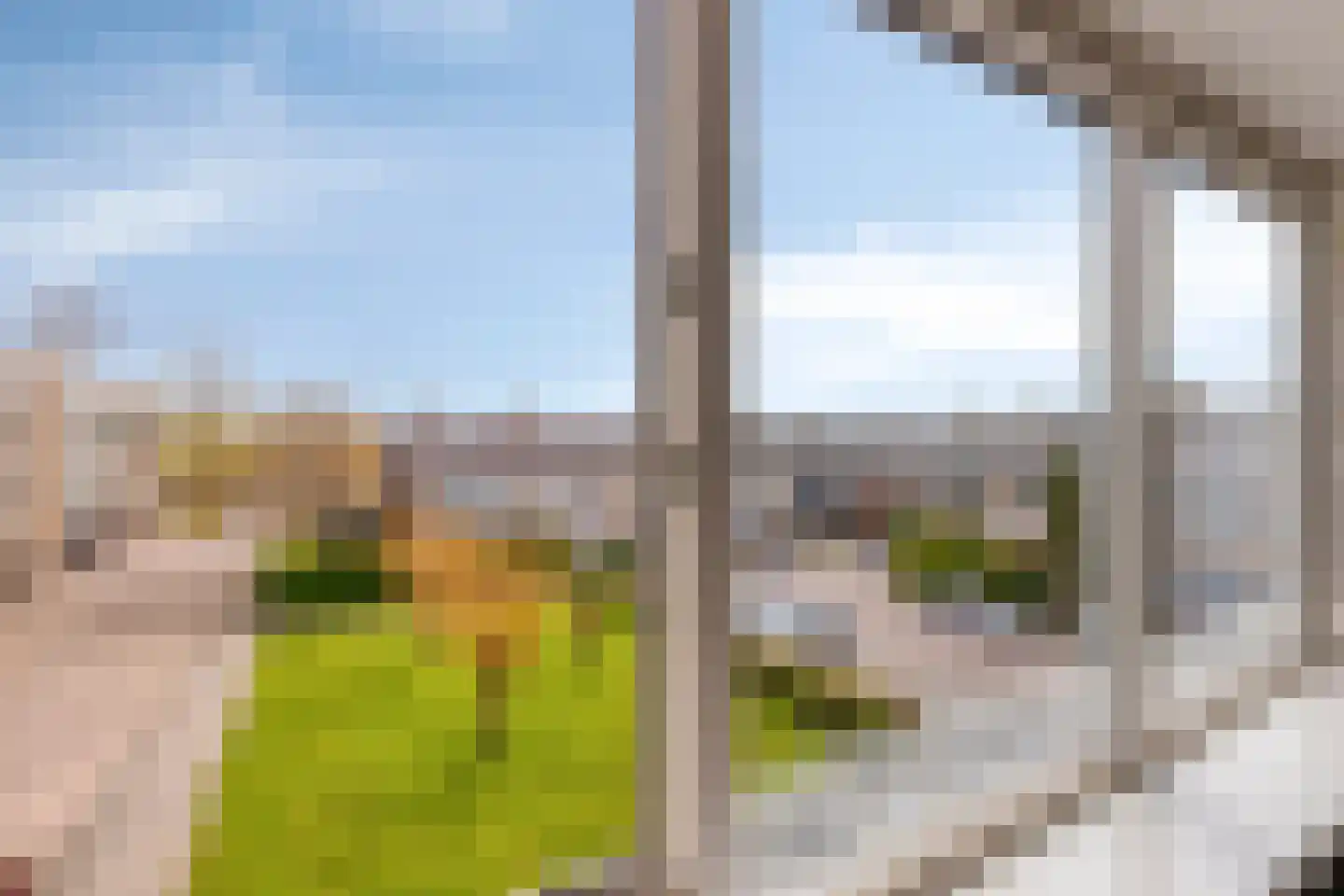 Wilgenoord 4 Bodegraven thumbnail 42