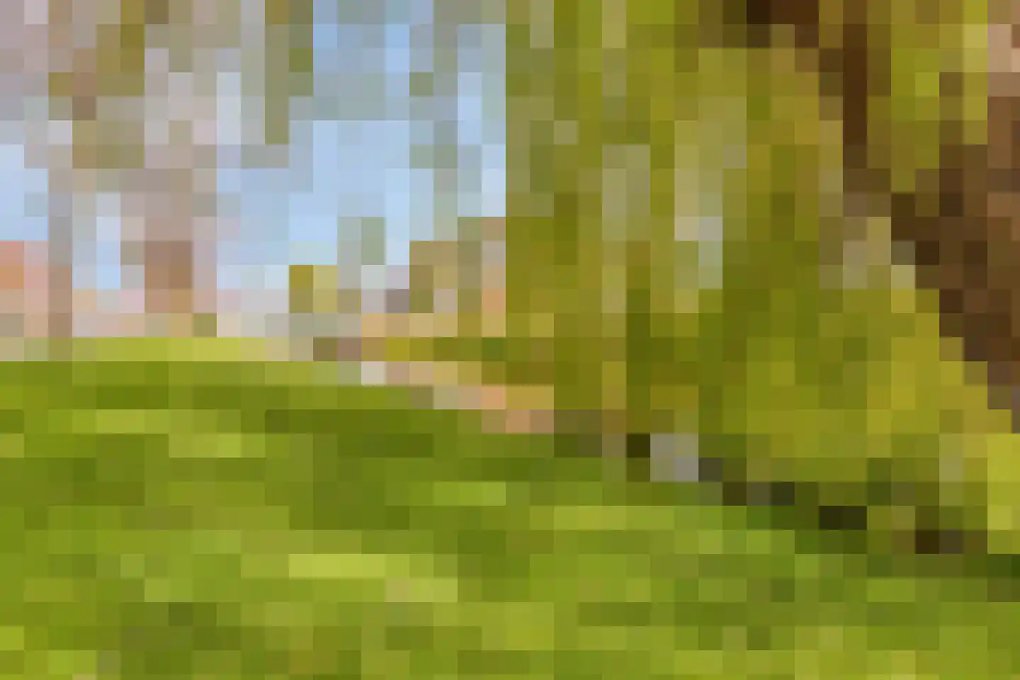 Wilgenoord 4 Bodegraven thumbnail 43
