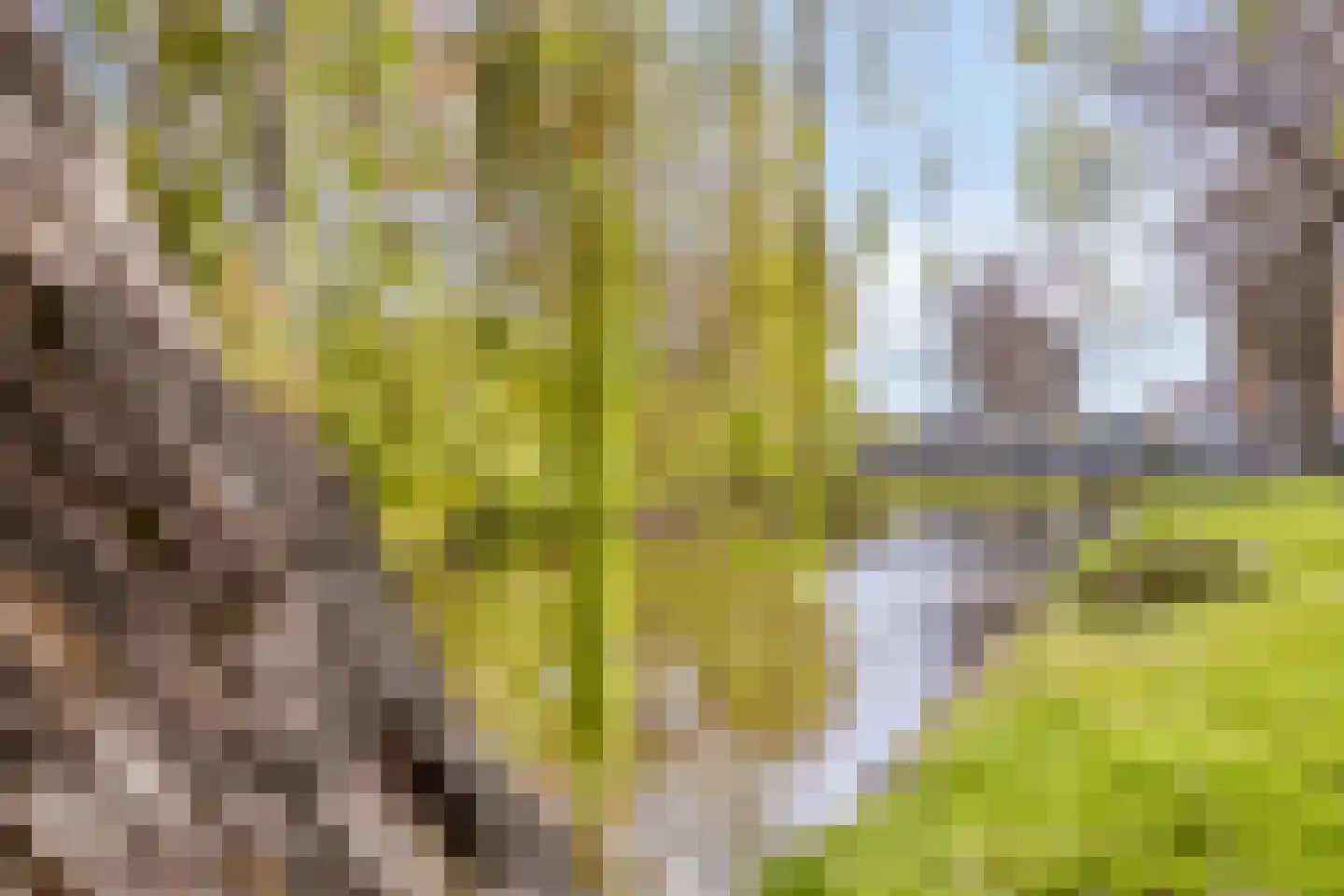Wilgenoord 4 Bodegraven thumbnail 44