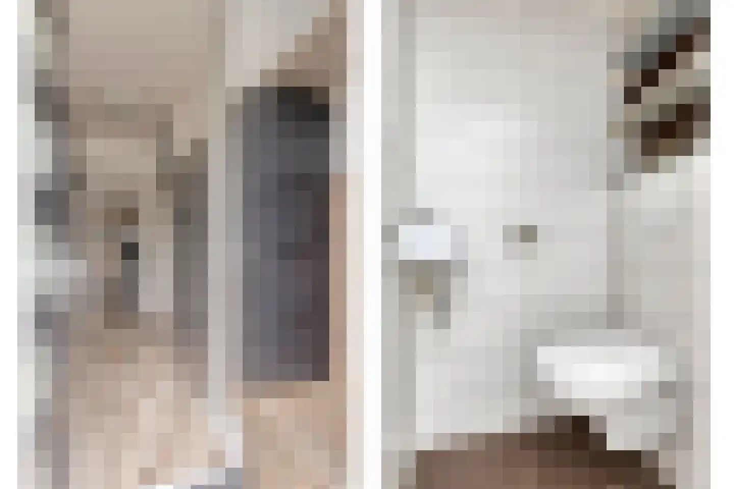 Wilgenoord 4 Bodegraven thumbnail 8