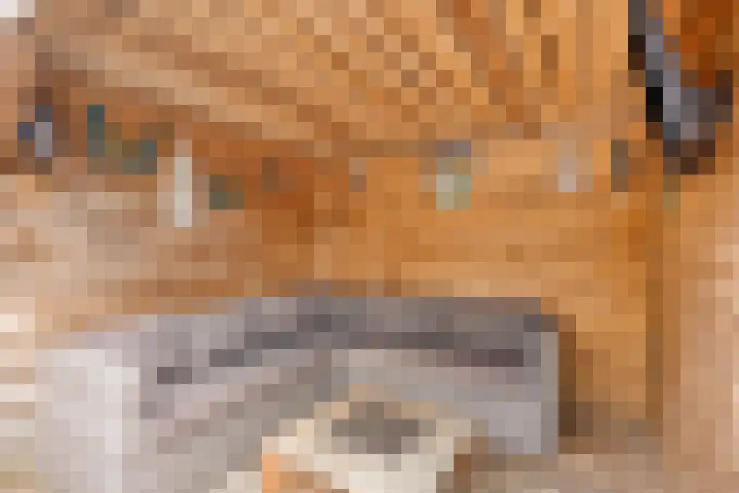 Wilgenoord 41 Bodegraven thumbnail 10