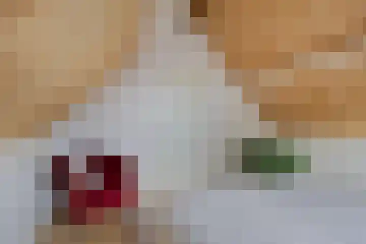 Wilgenoord 41 Bodegraven thumbnail 18