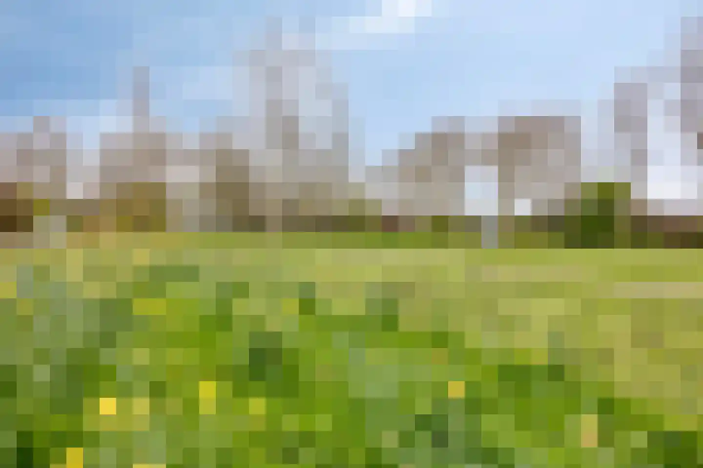Wilgenoord 41 Bodegraven thumbnail 32