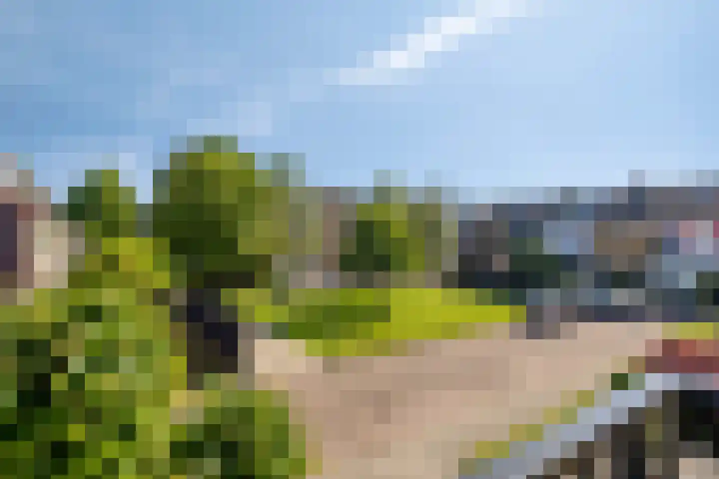 Wilgenoord 43 Bodegraven thumbnail 19