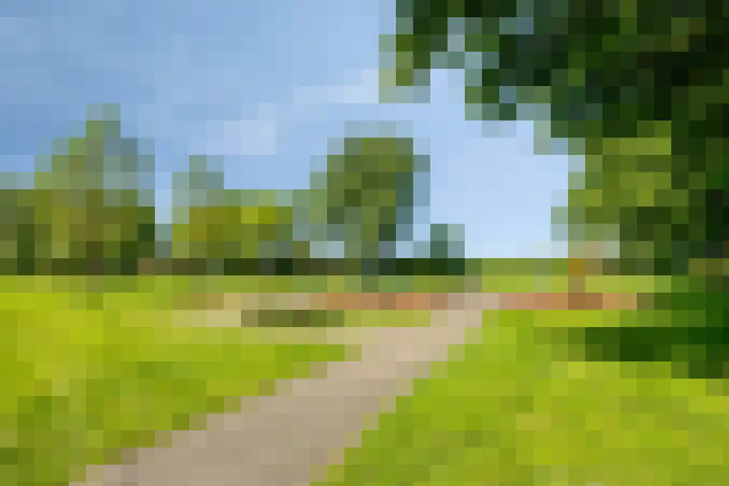Wilgenoord 43 Bodegraven thumbnail 32