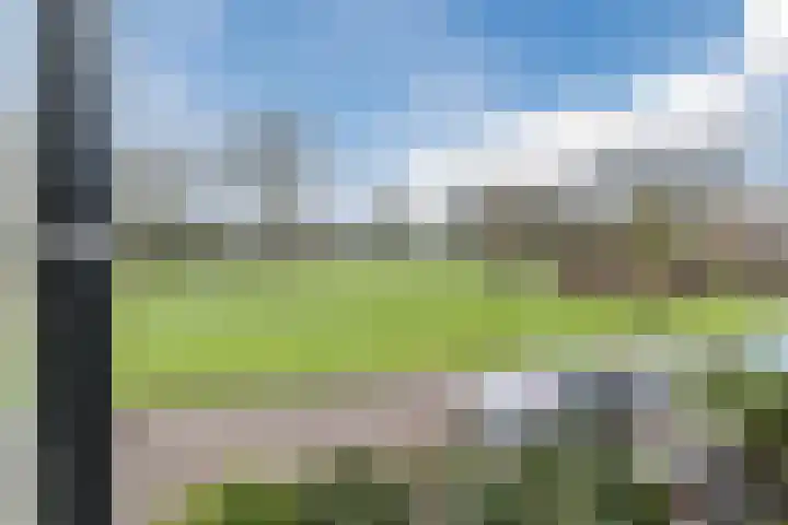Wilgenoord 58 Bodegraven thumbnail 27