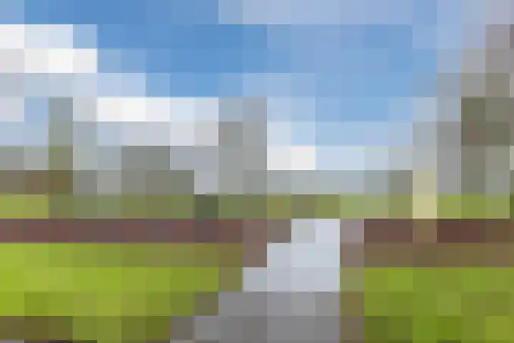 Wilgenoord 58 Bodegraven thumbnail 39