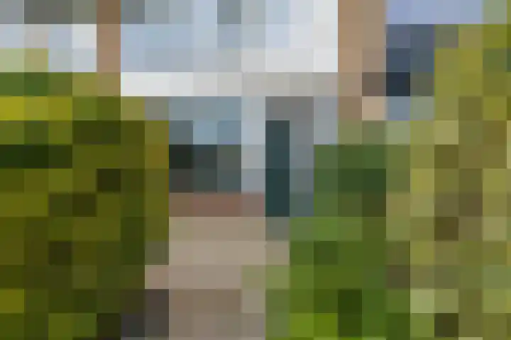 Wilgenoord 58 Bodegraven thumbnail 7