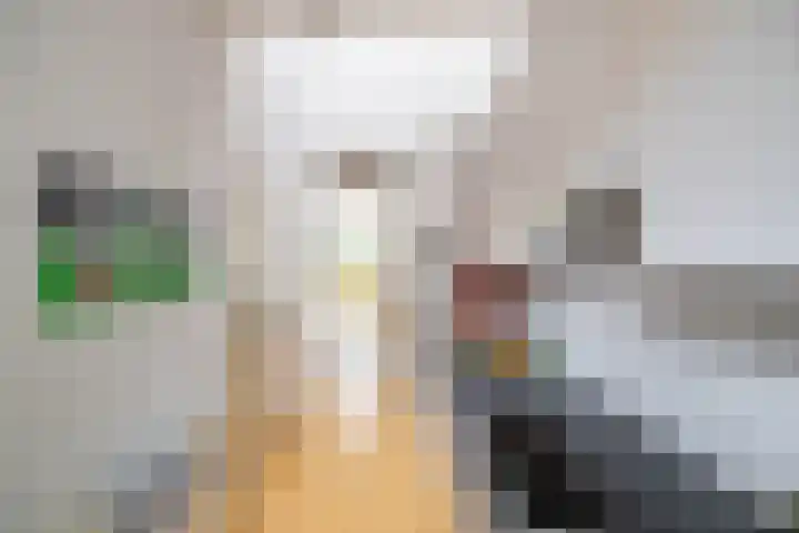 Wilgenpad 1 Groningen thumbnail 14