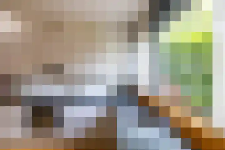 Wilgenpad 1 Groningen thumbnail 16
