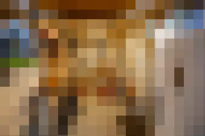 Wilgenpad 1 Groningen thumbnail 18
